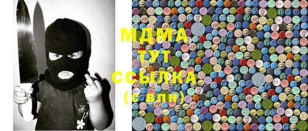 ГАЛЛЮЦИНОГЕННЫЕ ГРИБЫ Гусев