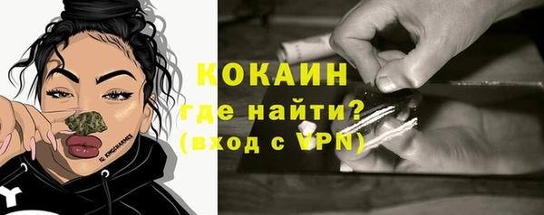ГАЛЛЮЦИНОГЕННЫЕ ГРИБЫ Гусев