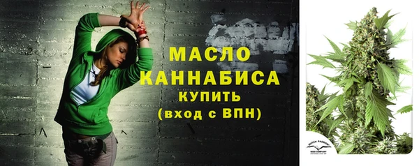 ГАЛЛЮЦИНОГЕННЫЕ ГРИБЫ Гусев
