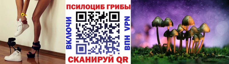 MEGA зеркало  даркнет как зайти  Псилоцибиновые грибы GOLDEN TEACHER  Данилов 